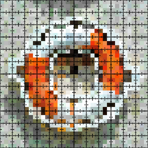 Variation 1