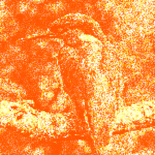 Variation 6