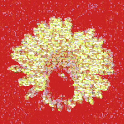 Variation 8