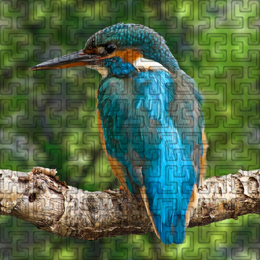 Variation 1