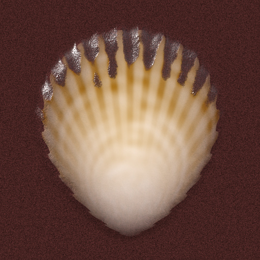 Variation 4