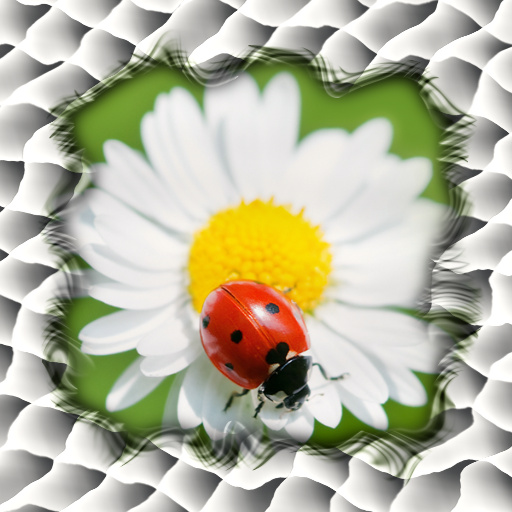 Variation 3