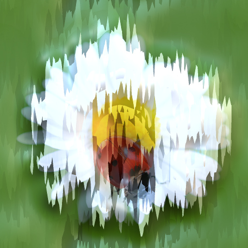 Variation 5