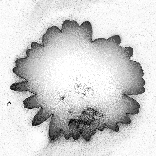 Ambient Occlusion Map