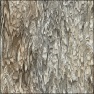 Ragtag Textures