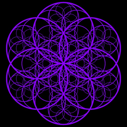 Variation 7
