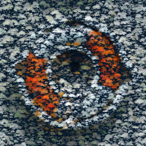 Variation 3