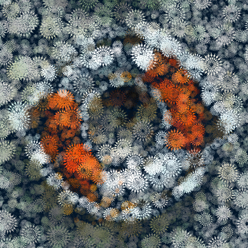 Variation 5