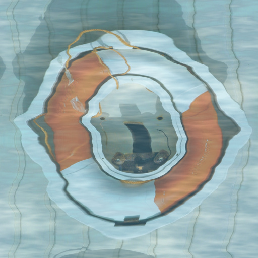 Forever Reflected (Effect)