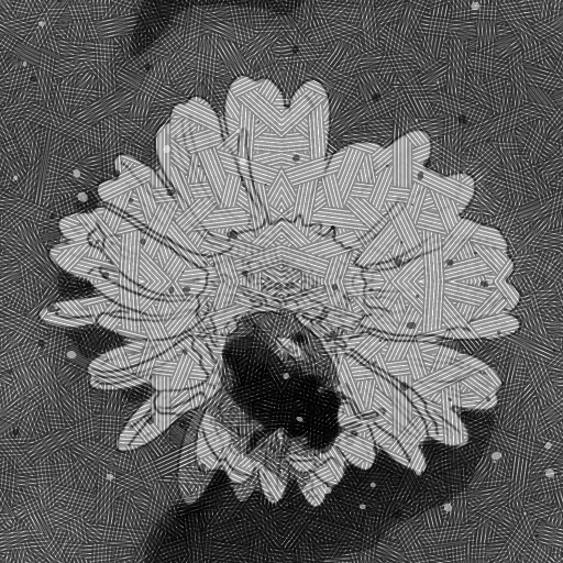 Variation 2