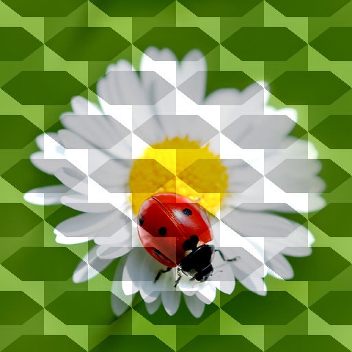 Variation 1