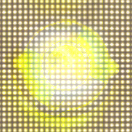 Variation 5