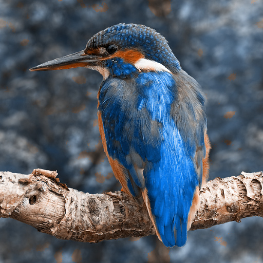 Color Harmonies (Effect)
