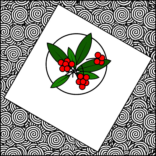 Variation 4