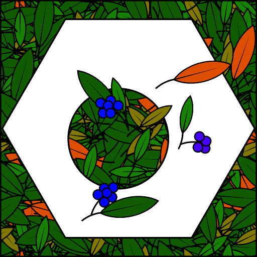 Variation 6