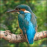 Chromatic aberration Centered