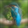 Blur Frame
