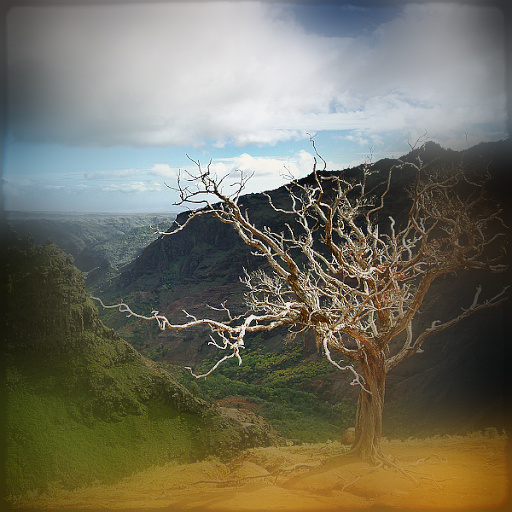 Variation 4