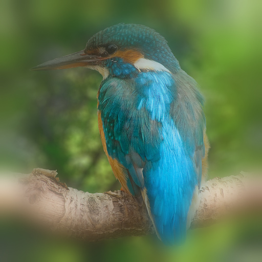 Blur Frame (Effect)