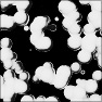 Marble Noir