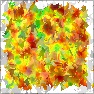 Fall Leaves