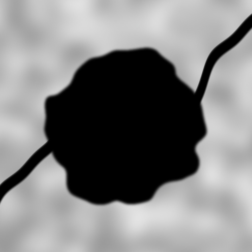 Variation 1