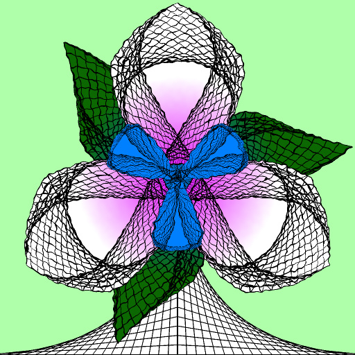 Variation 8