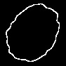 Path And Road Loop Masks