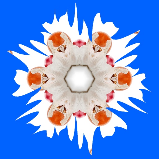Variation 4