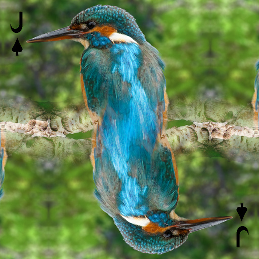 Variation 3