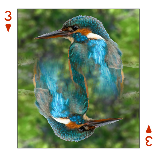Variation 4