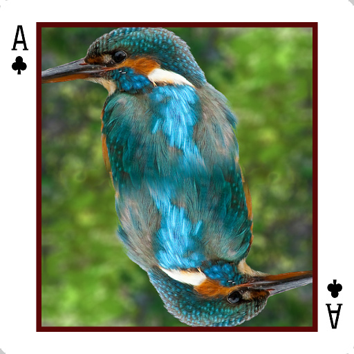 Variation 6