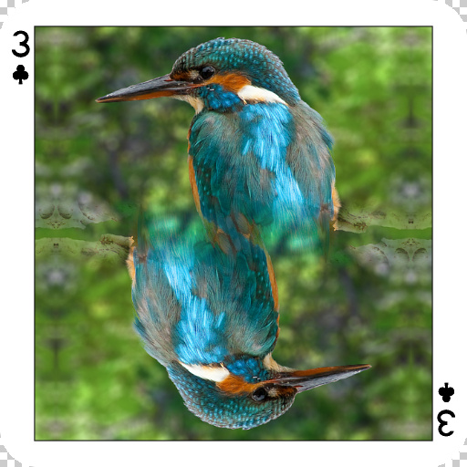 Variation 8
