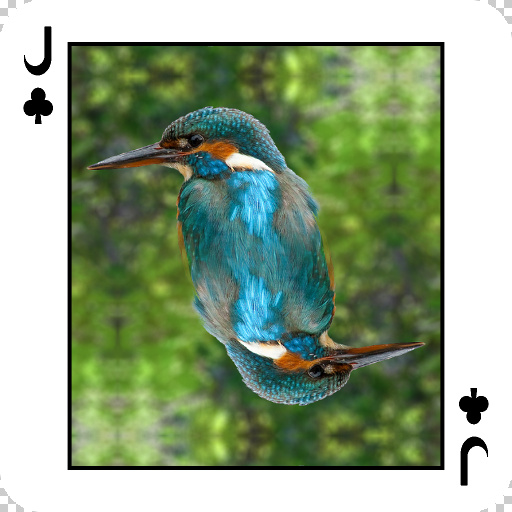Playing Card (Effect)