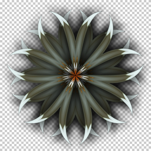 Variation 8