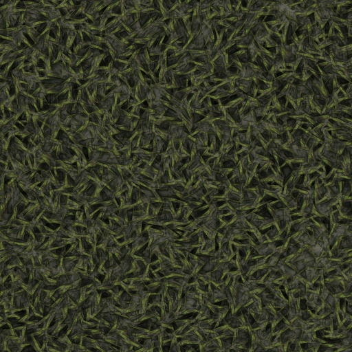 Variation 4