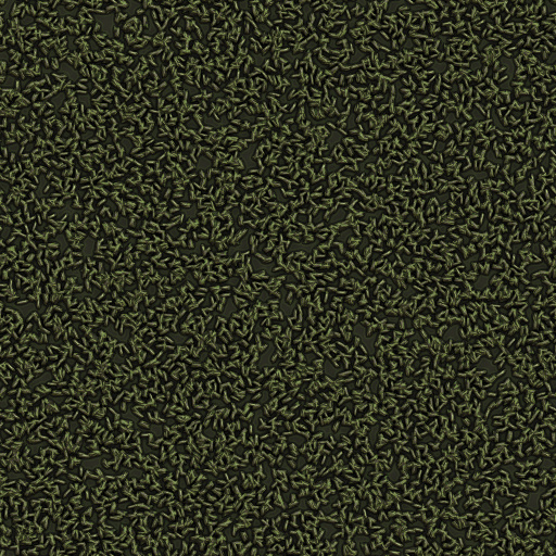 Variation 8