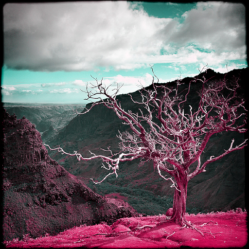 Variation 4