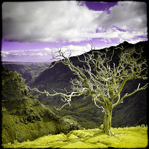 Variation 5