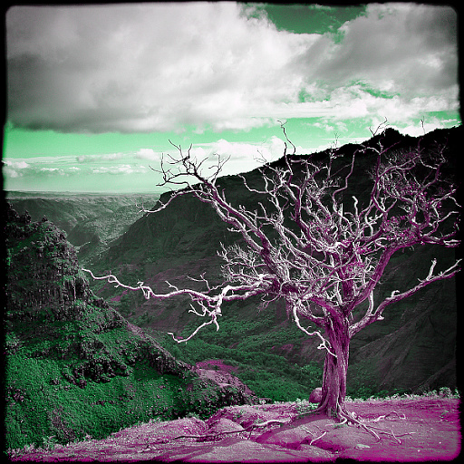 Variation 6