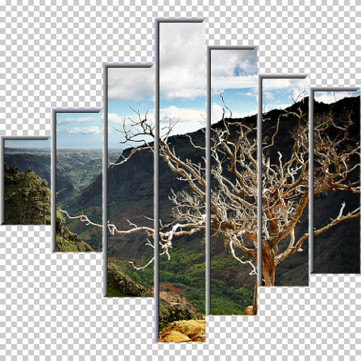 Variation 1