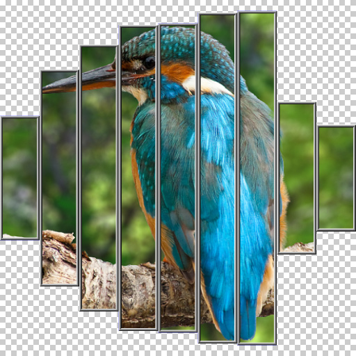 Variation 4