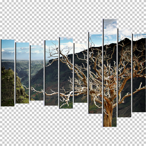 Variation 6