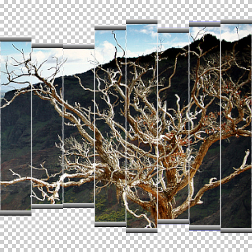 Variation 8
