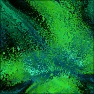 Fraction Space