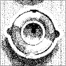 Pointillism Drawing