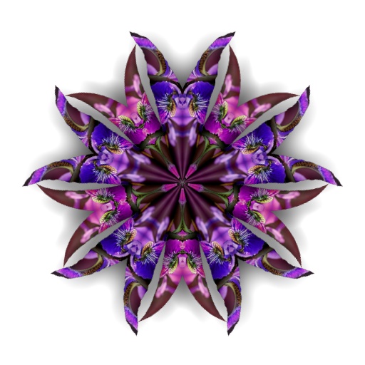 Variation 2