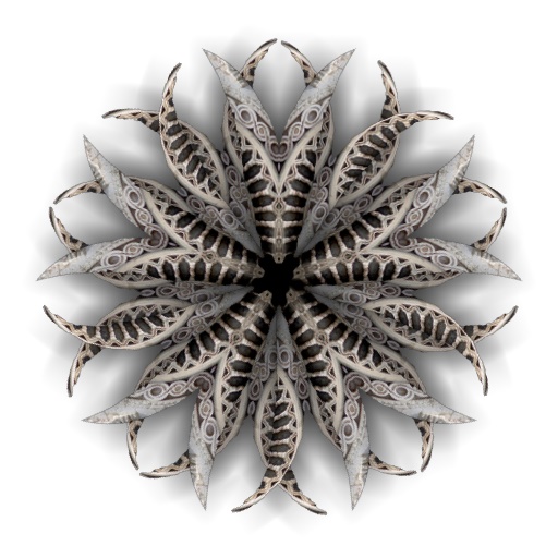 Variation 3