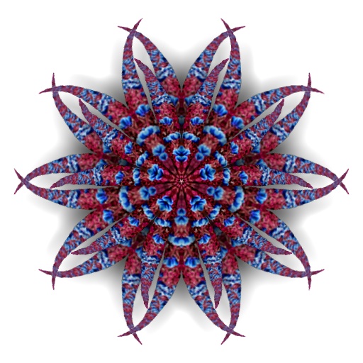 Variation 7