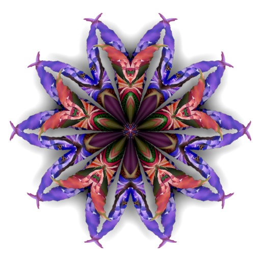 Variation 8